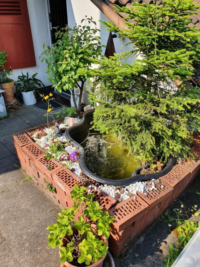 Bnb Haus Weibel Landquart Εξωτερικό φωτογραφία